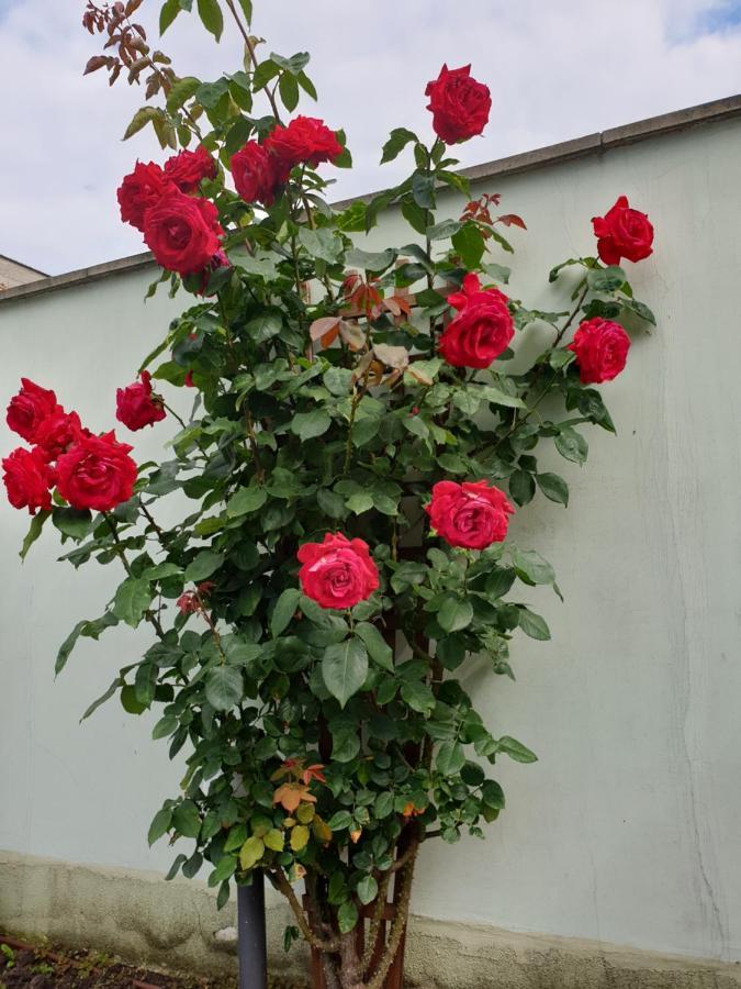 Mirana Family Hotel Burgas ภายนอก รูปภาพ